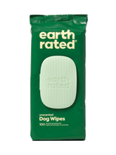 100 Wipes (1 Pack)