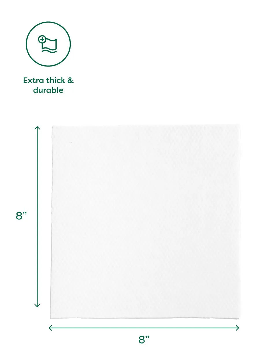 100 Wipes (1 Pack)