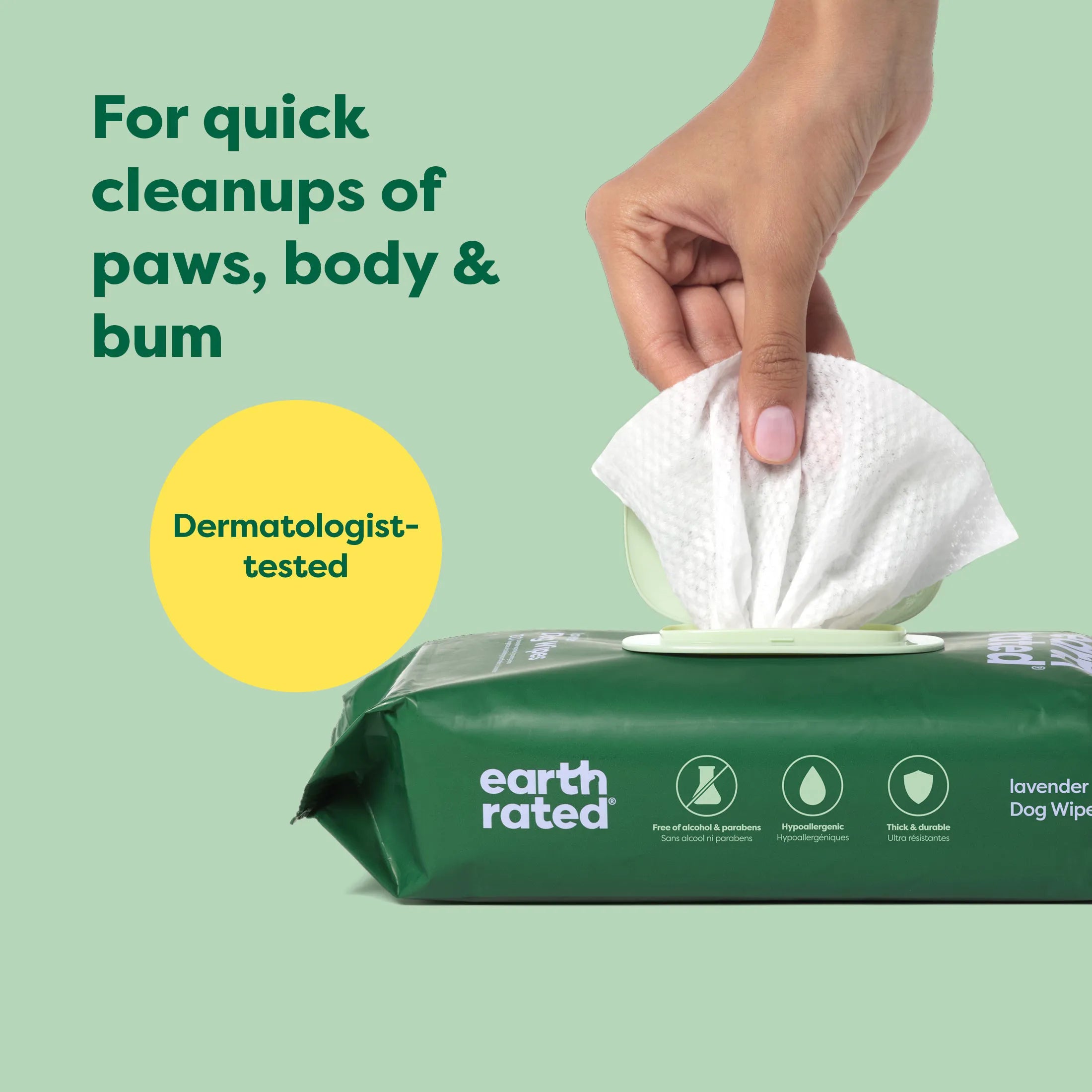 100 Wipes (1 Pack)