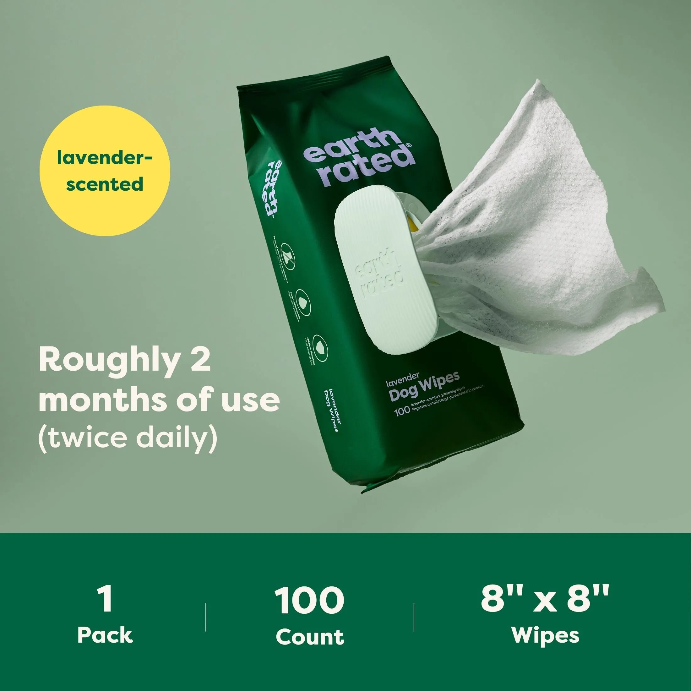 100 Wipes (1 Pack)