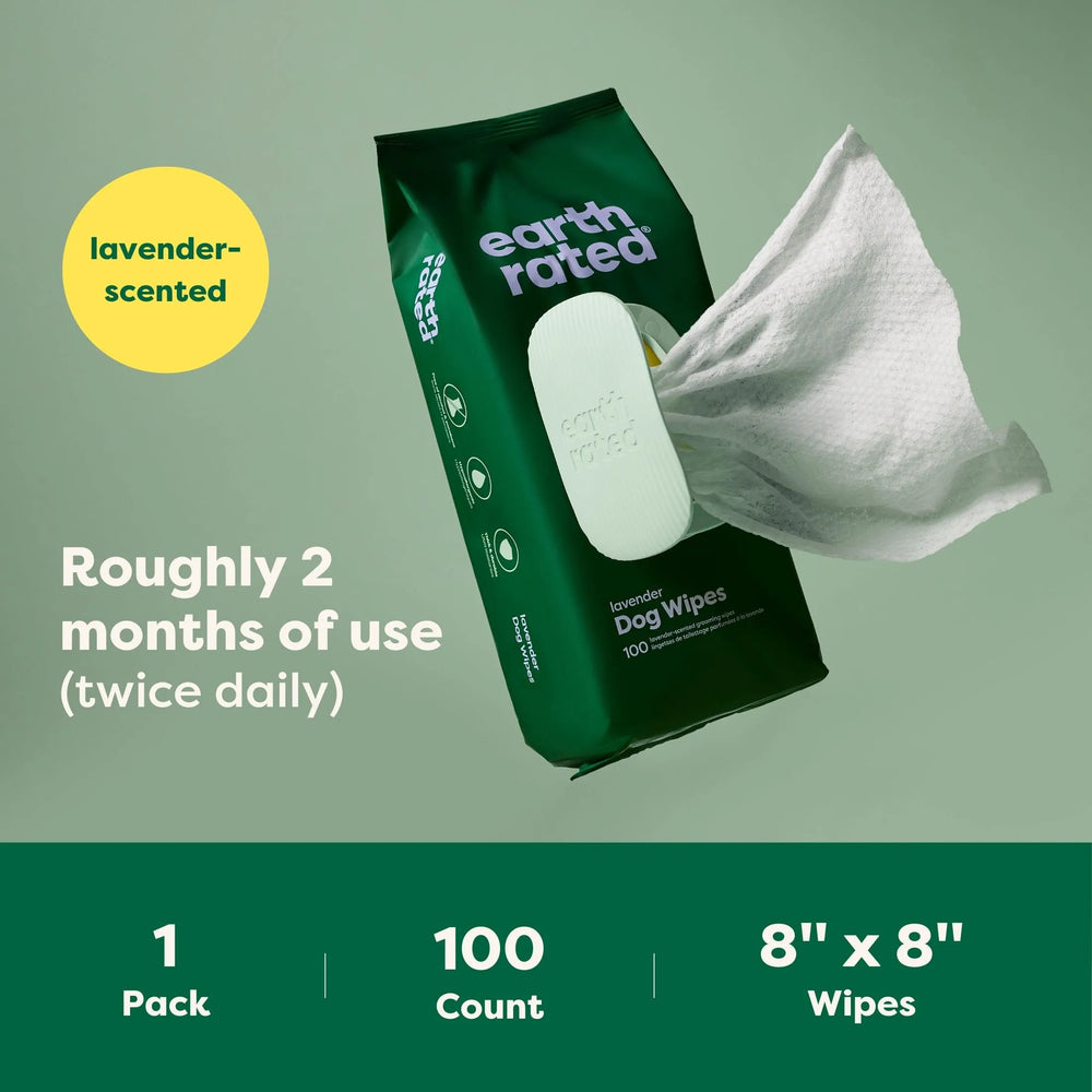 100 Wipes (1 Pack)