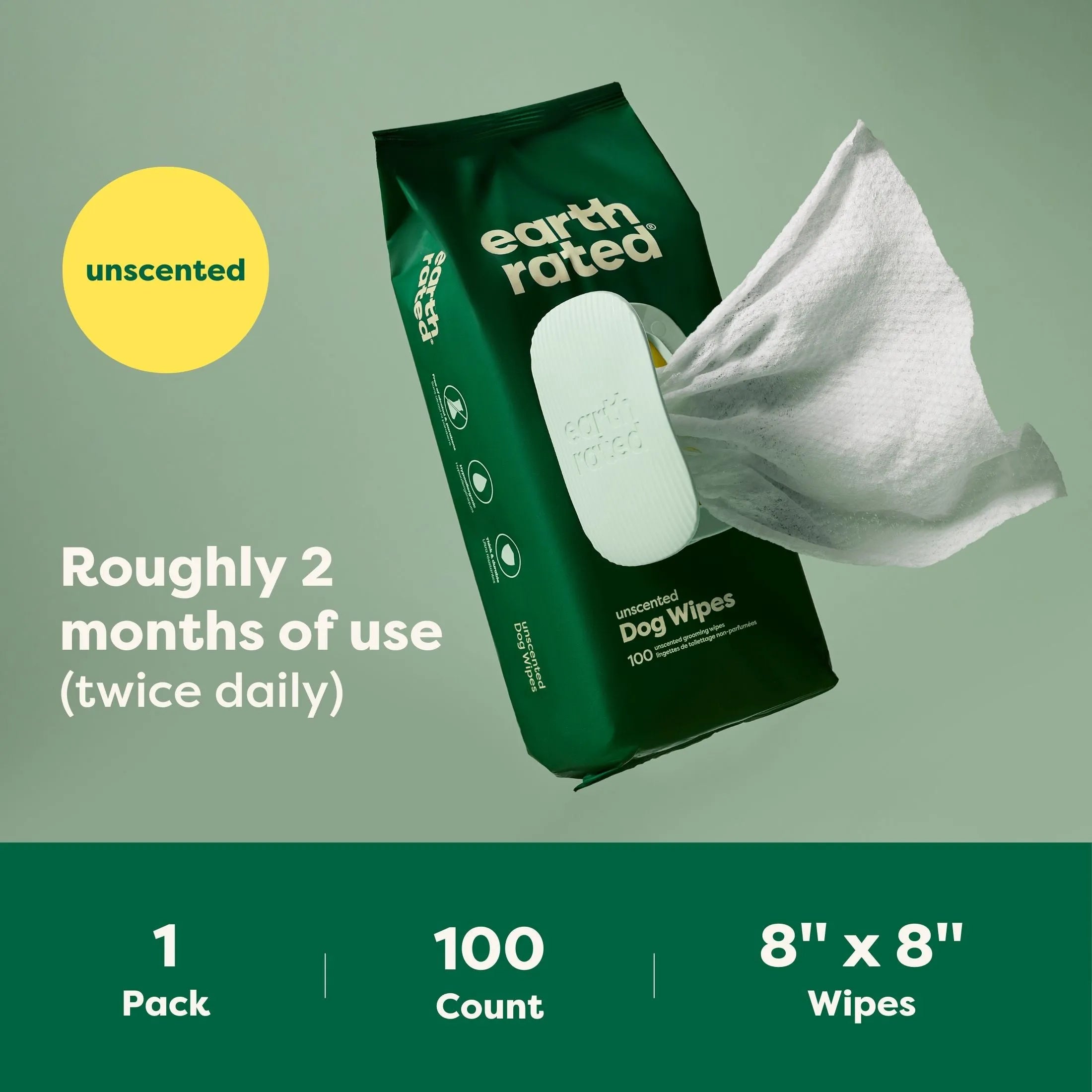 100 Wipes (1 Pack)