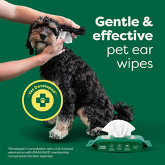 Ear Wipes for Dogs and Cats