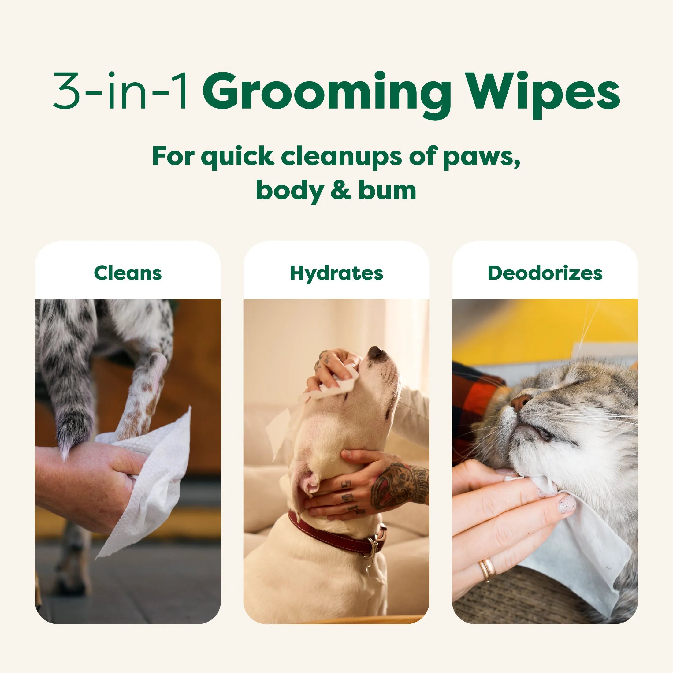 100 Wipes (1 Pack)