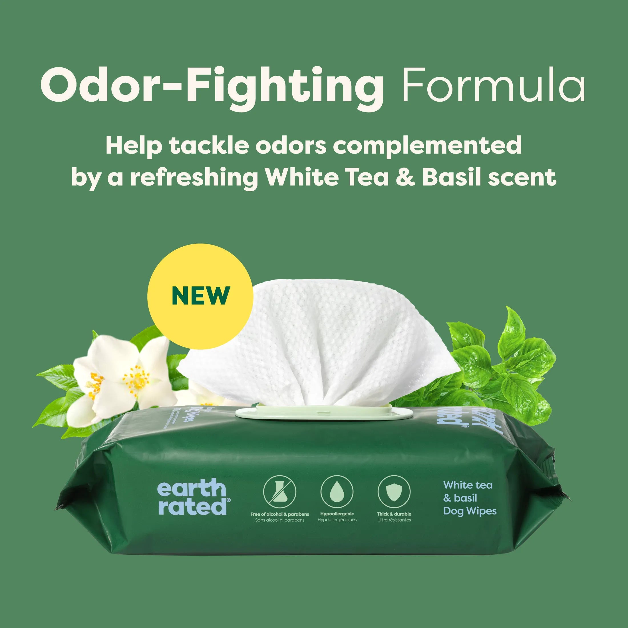 100 Wipes (1 Pack)