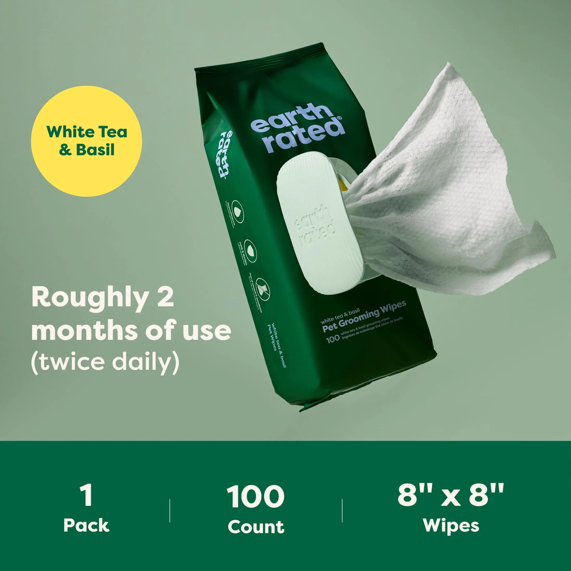 100 Wipes (1 Pack)