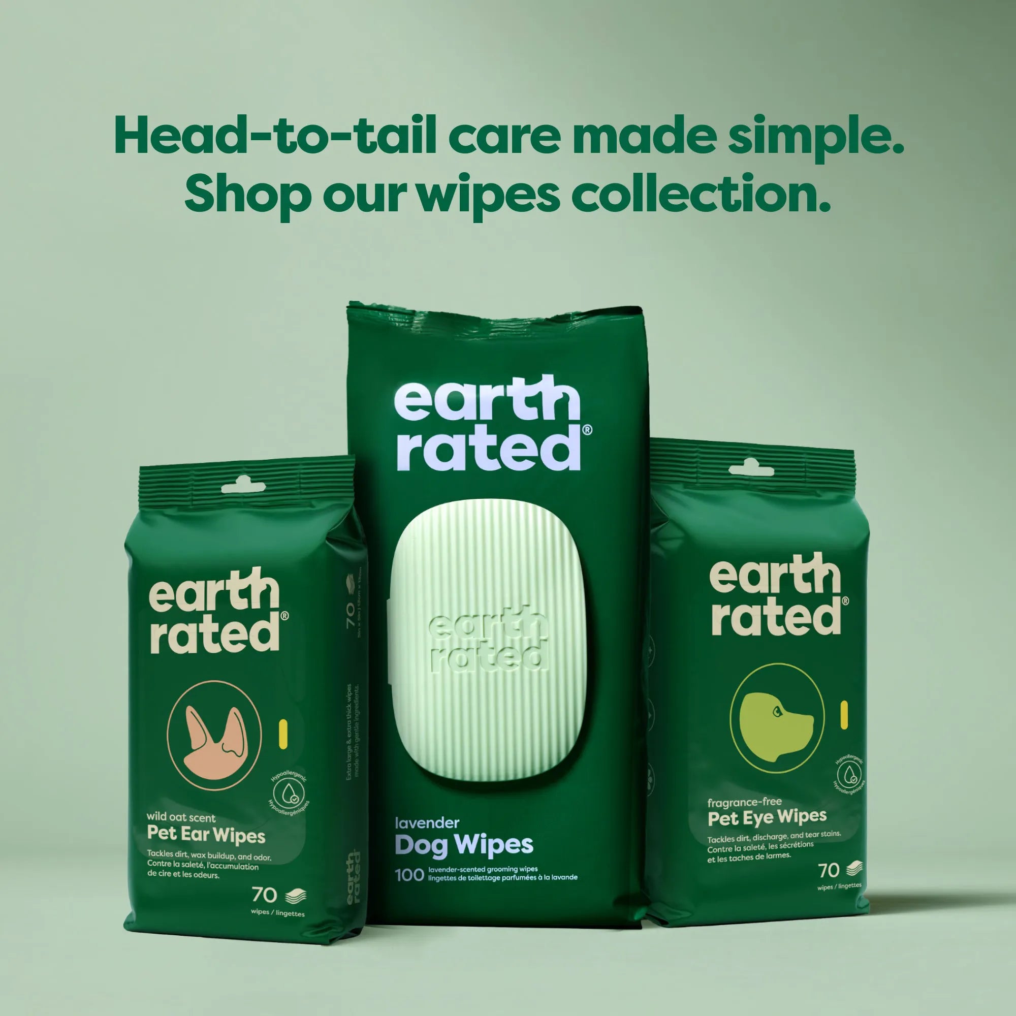 100 Wipes (1 Pack)