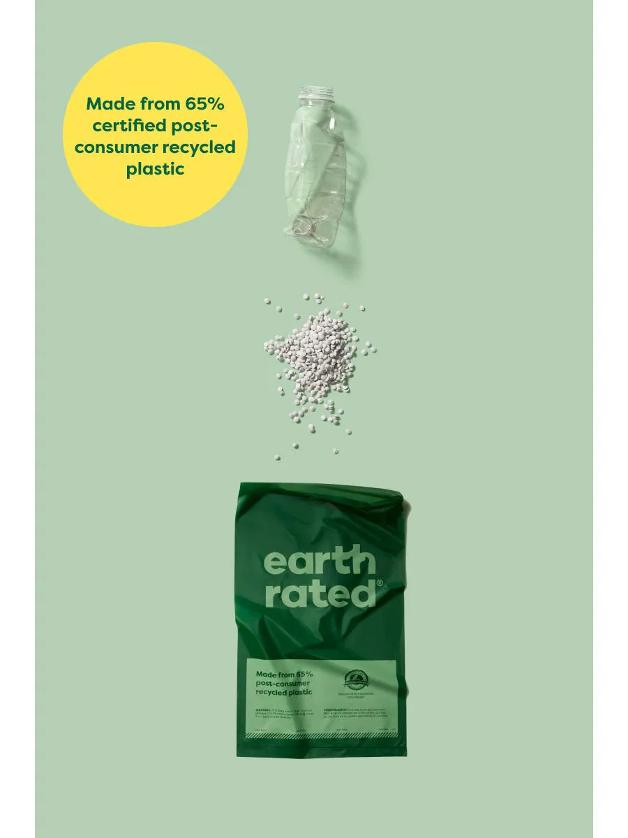 100 Bags