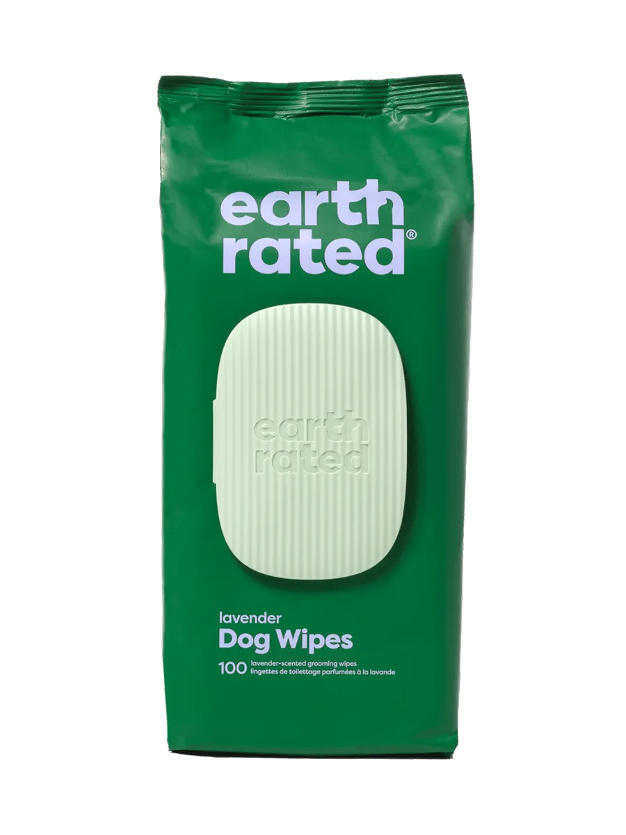 100 Wipes (1 Pack)