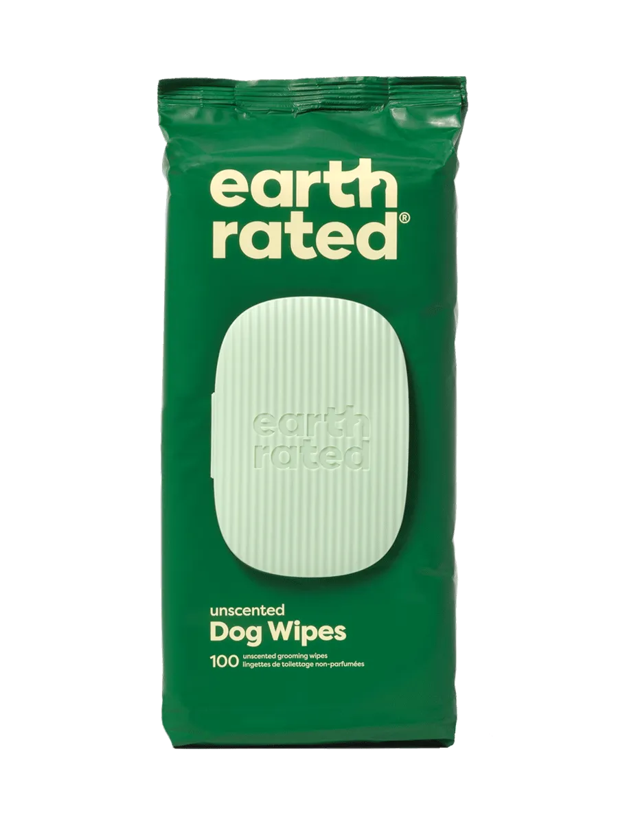 100 Wipes (1 Pack)