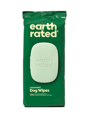 100 Wipes (1 Pack)