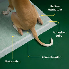 Large - 22" x 23" (75 Count)