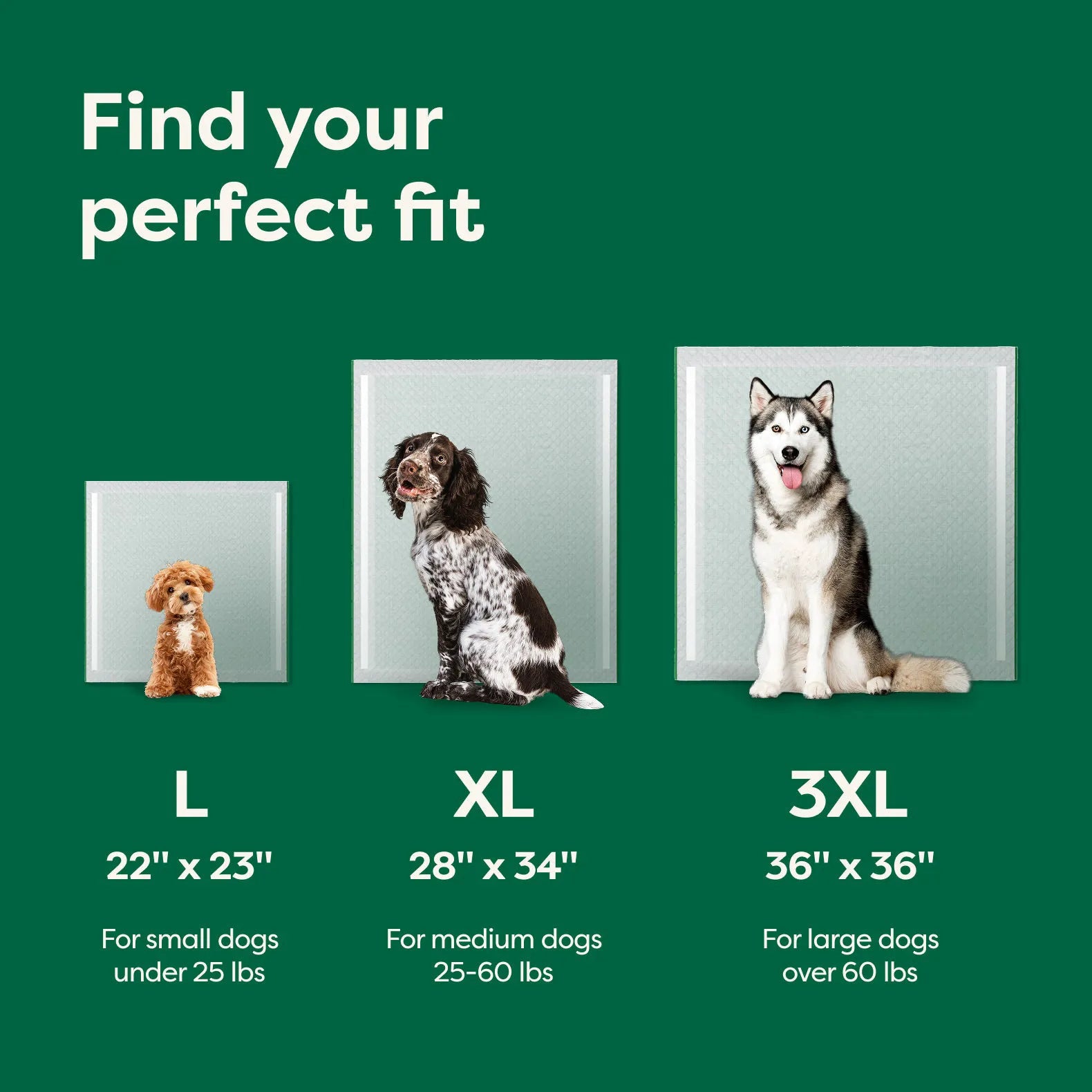 3XL - 36" x 36" (24 Count)