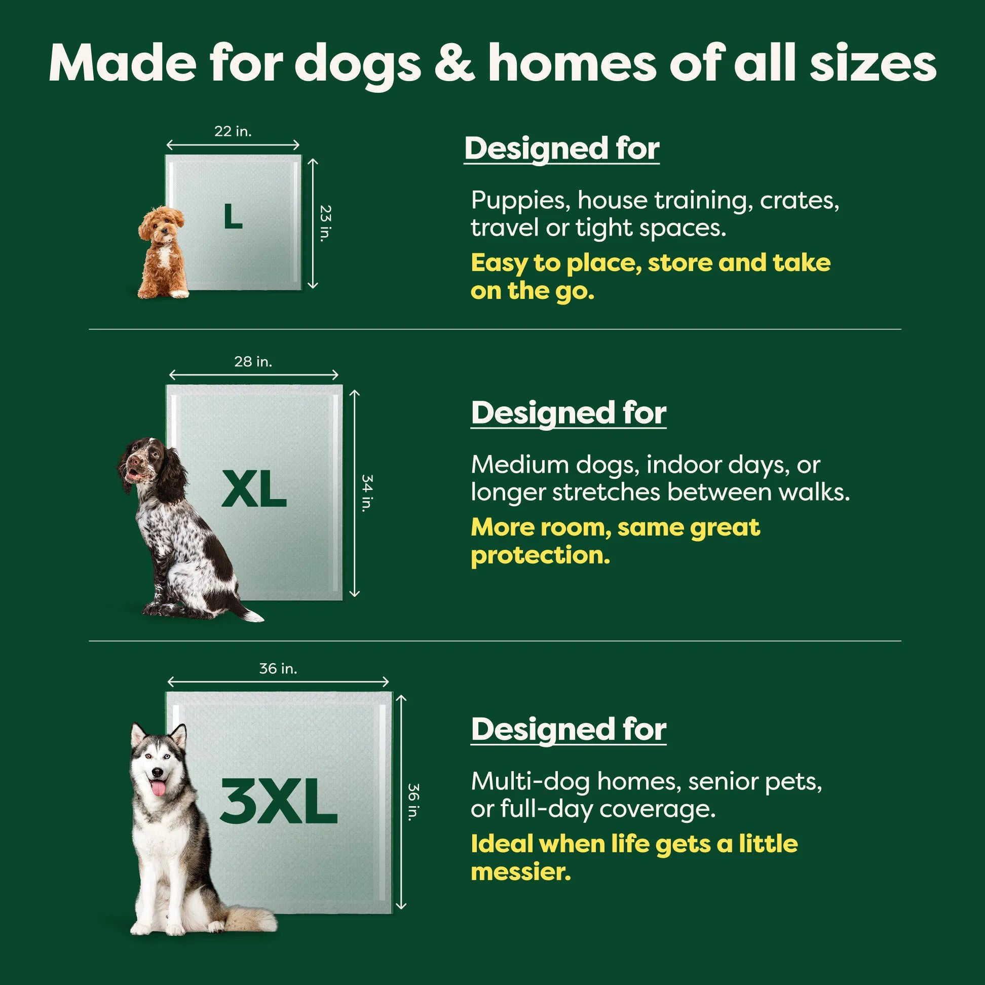 XL