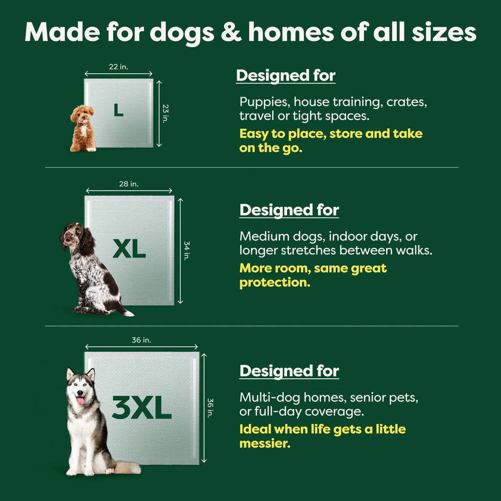 XL