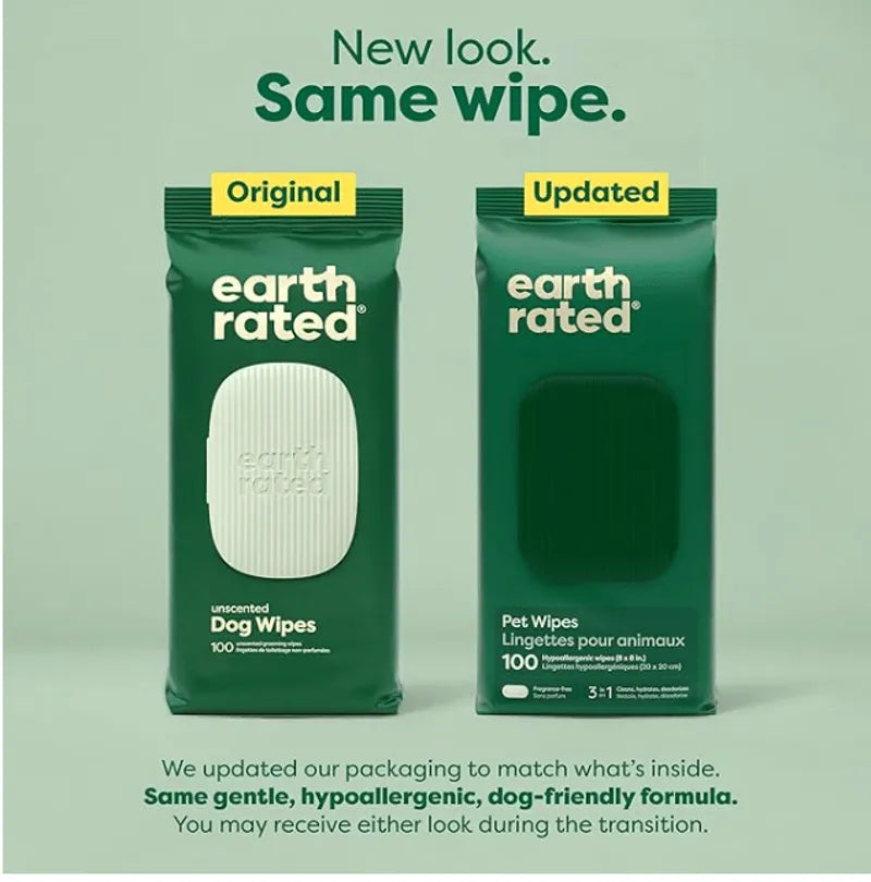 100 Wipes (1 Pack)