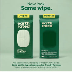 100 Wipes (1 Pack)