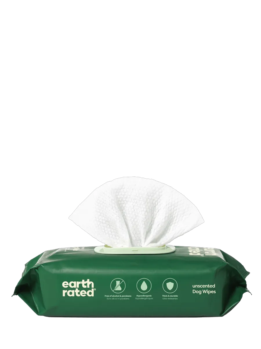 100 Wipes (1 Pack)