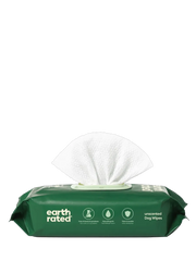 100 Wipes (1 Pack)