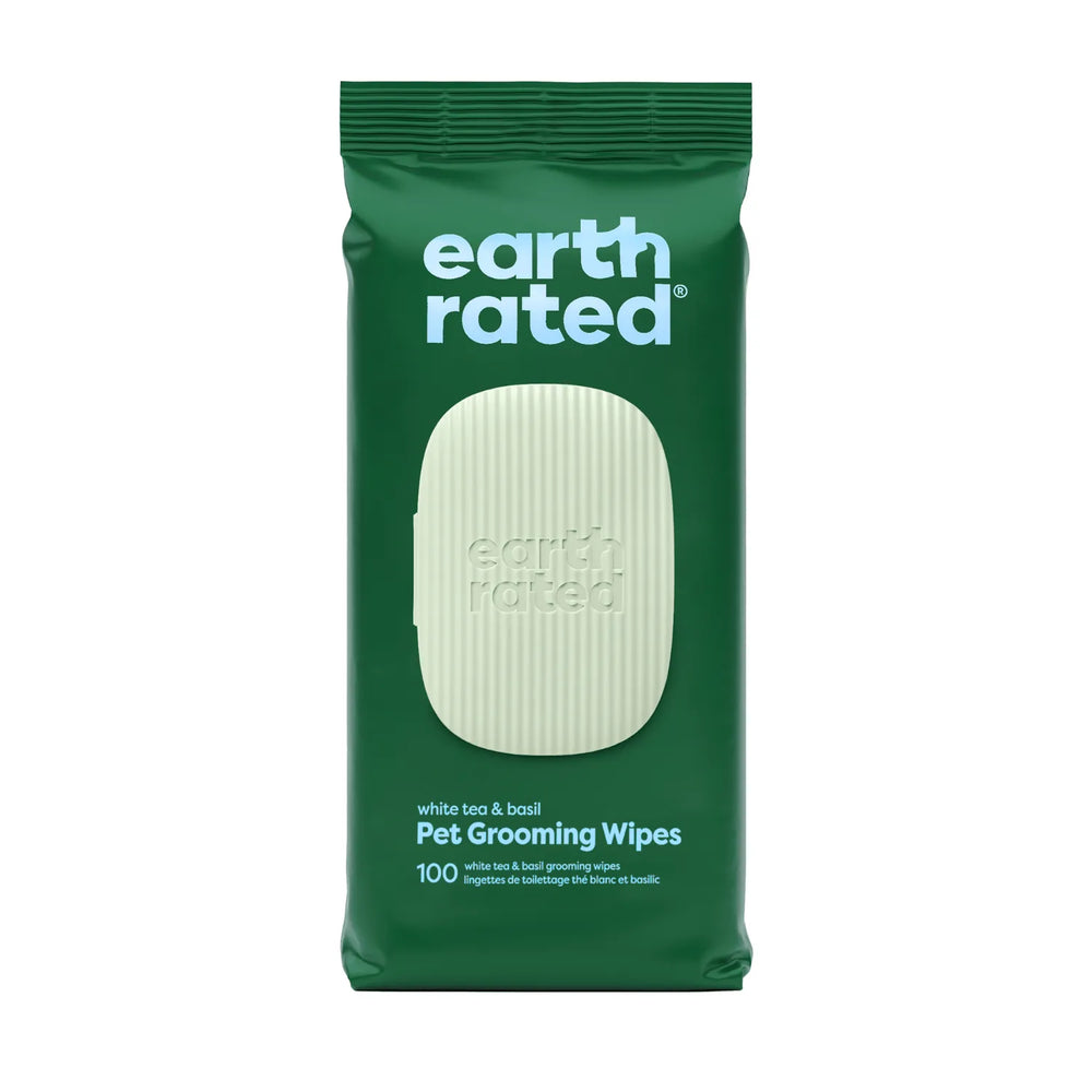 100 Wipes (1 Pack)